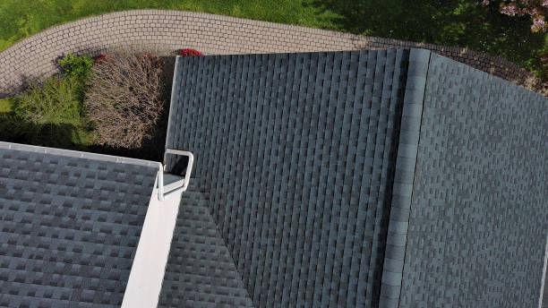 Best Roof Moss and Algae Removal  in Anchorage, AK